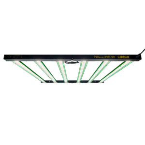 LED PRO 2.9 720W - Libolux