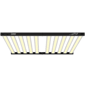 Iluminación LED 1000W 2.9 Black Label - Lucius
