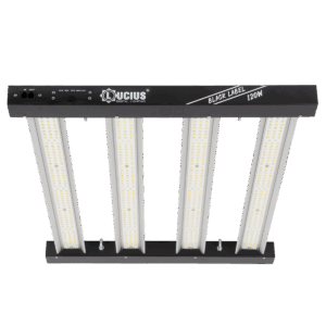 Iluminación LED 120W 2.9 Black Label - Lucius