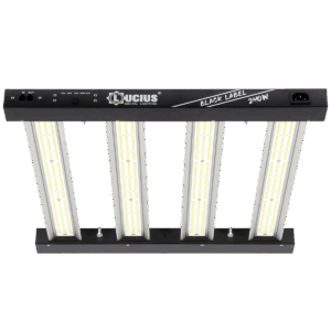 Iluminación LED 240W 2.9 Black Label - Lucius