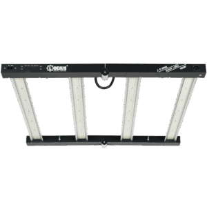 Iluminación LED 400W 2.9 Black Label - Lucius